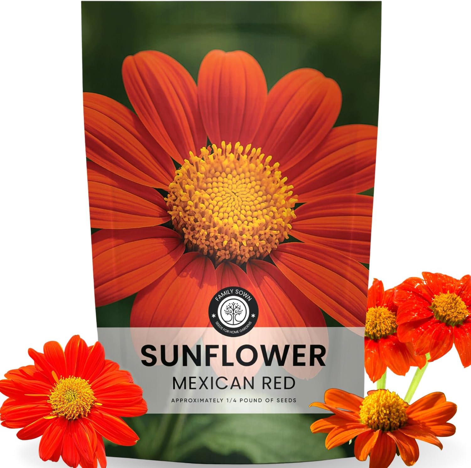 Mexican Sunflower (Red)