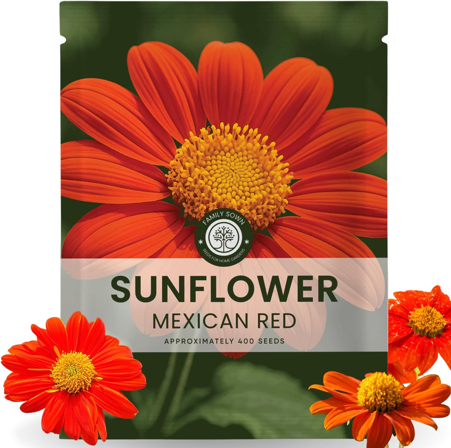 Mexican Sunflower (Red)