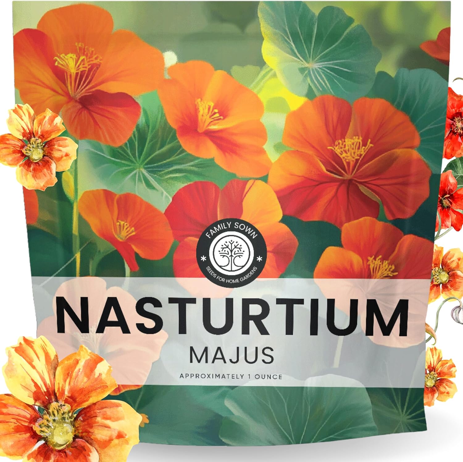 Nasturtium majus
