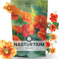 Nasturtium majus