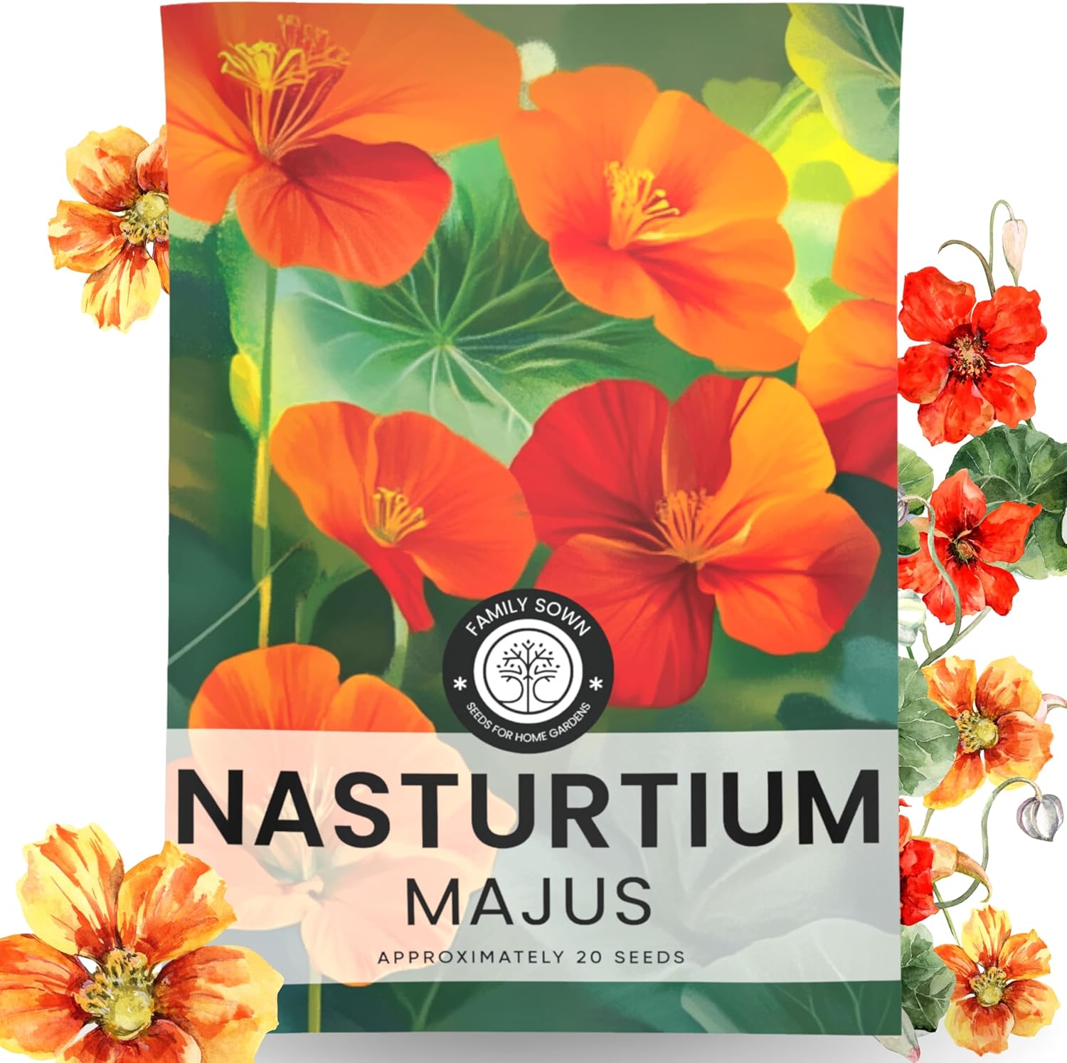 Nasturtium majus