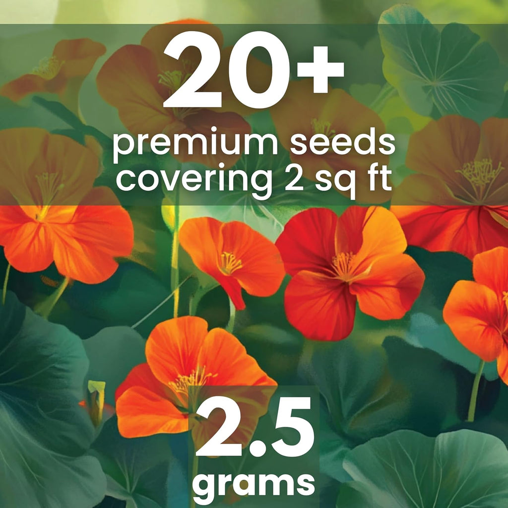 Nasturtium majus