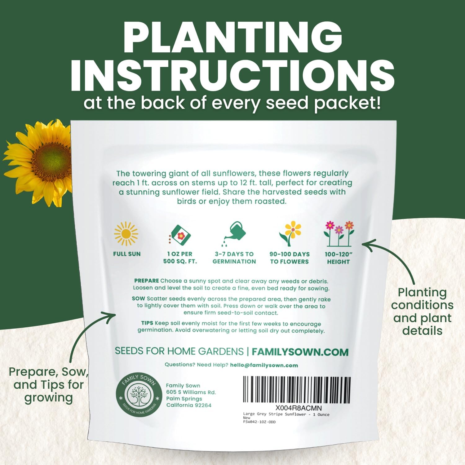 Large Grey Stripe Sunflower