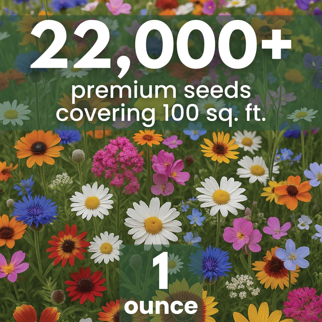 Drought Tolerant Mix