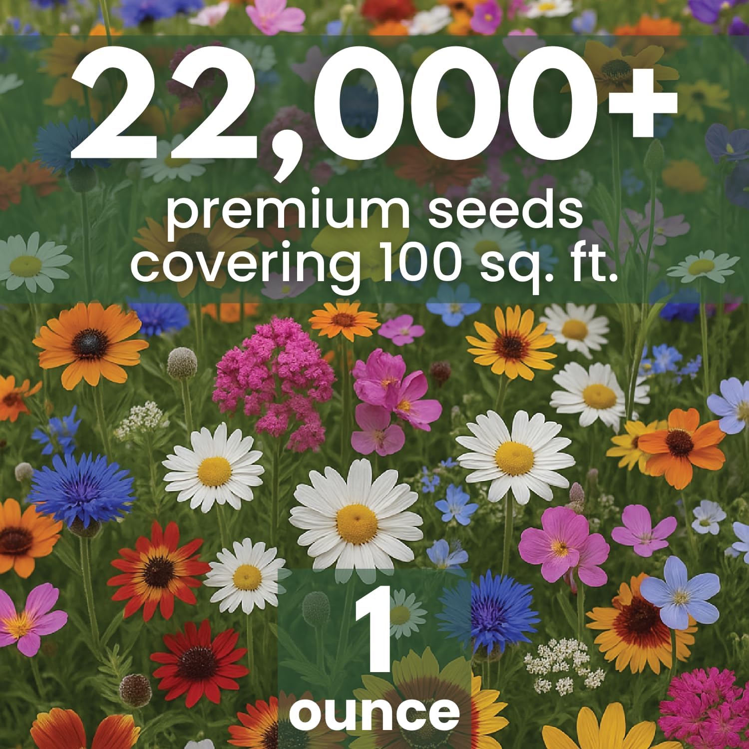 Drought Tolerant Mix