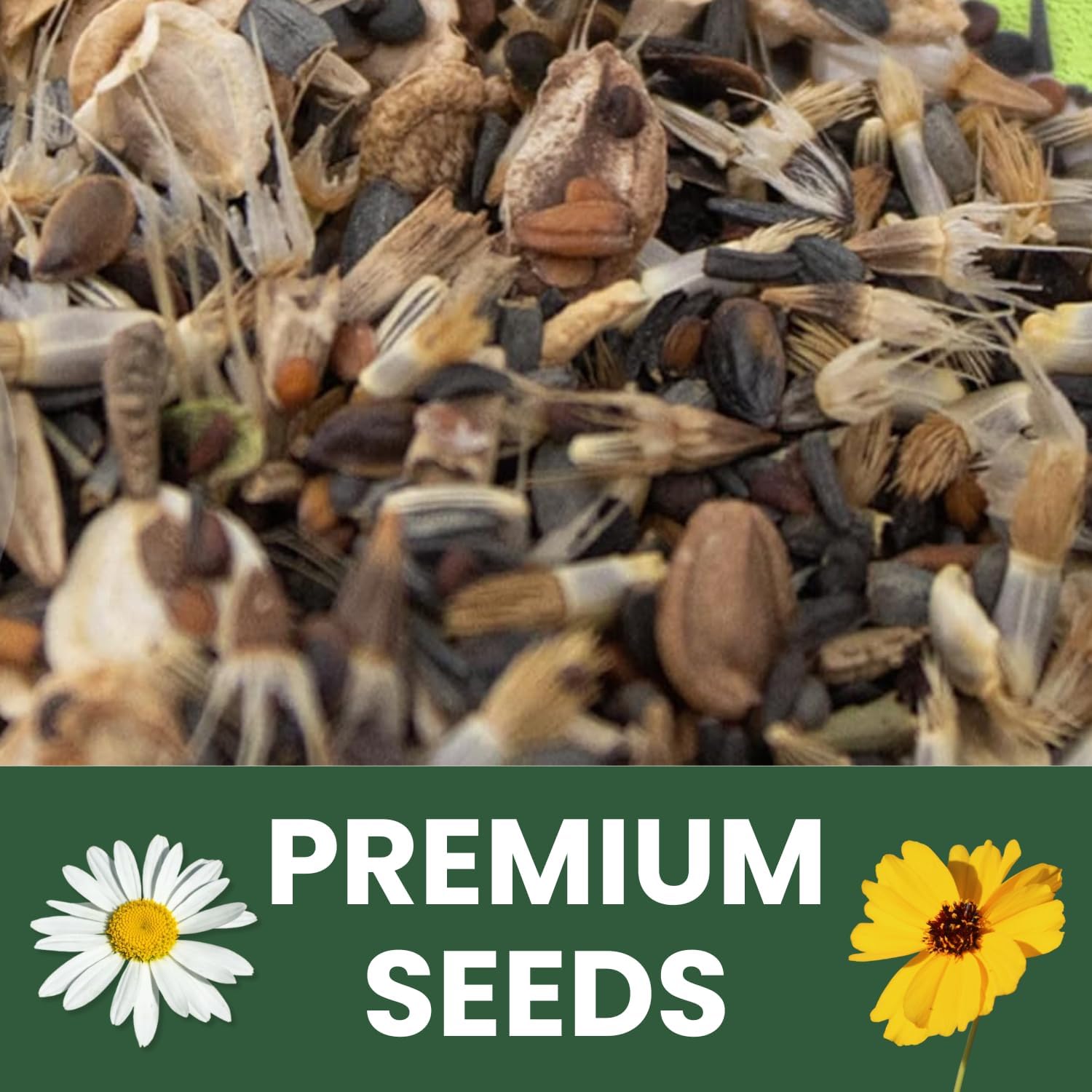 Drought Tolerant Mix