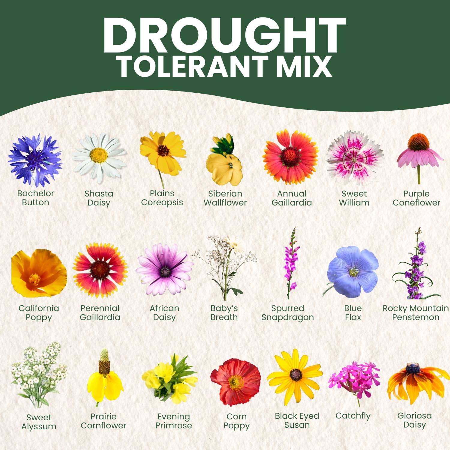 Drought Tolerant Mix