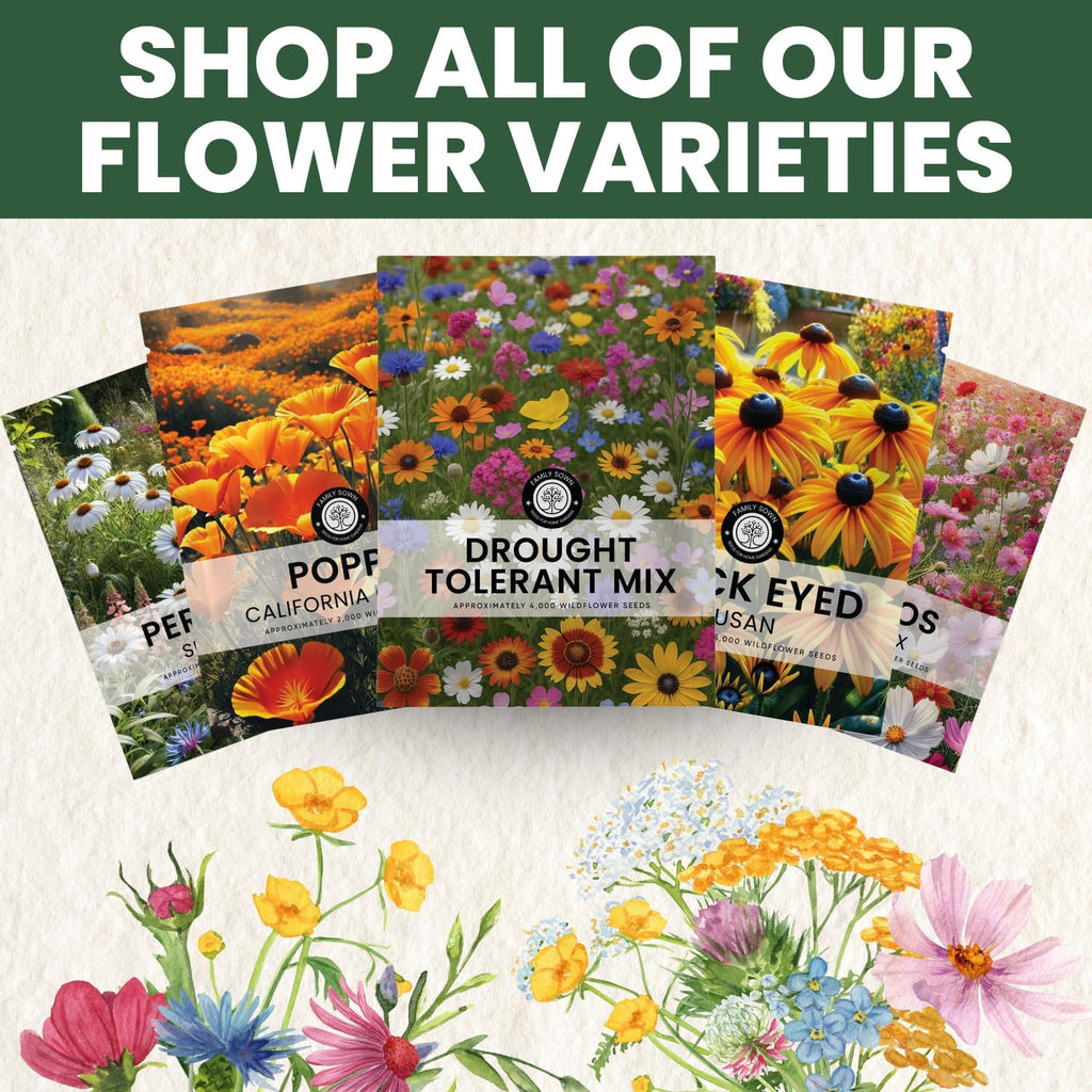 Drought Tolerant Mix