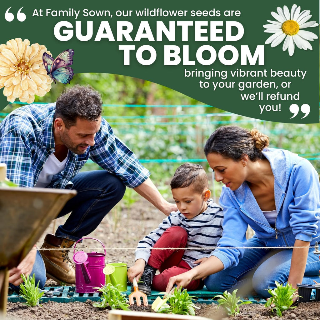 Drought Tolerant Mix