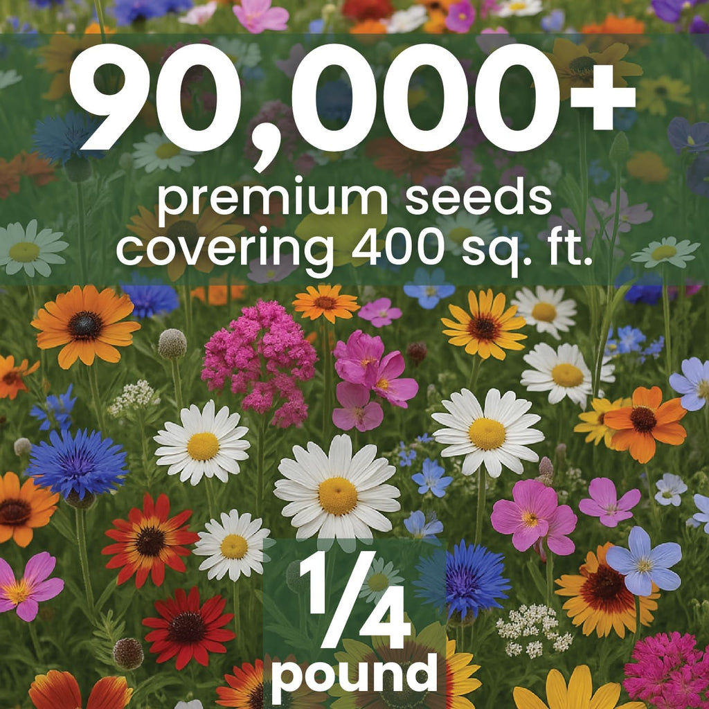 Drought Tolerant Mix