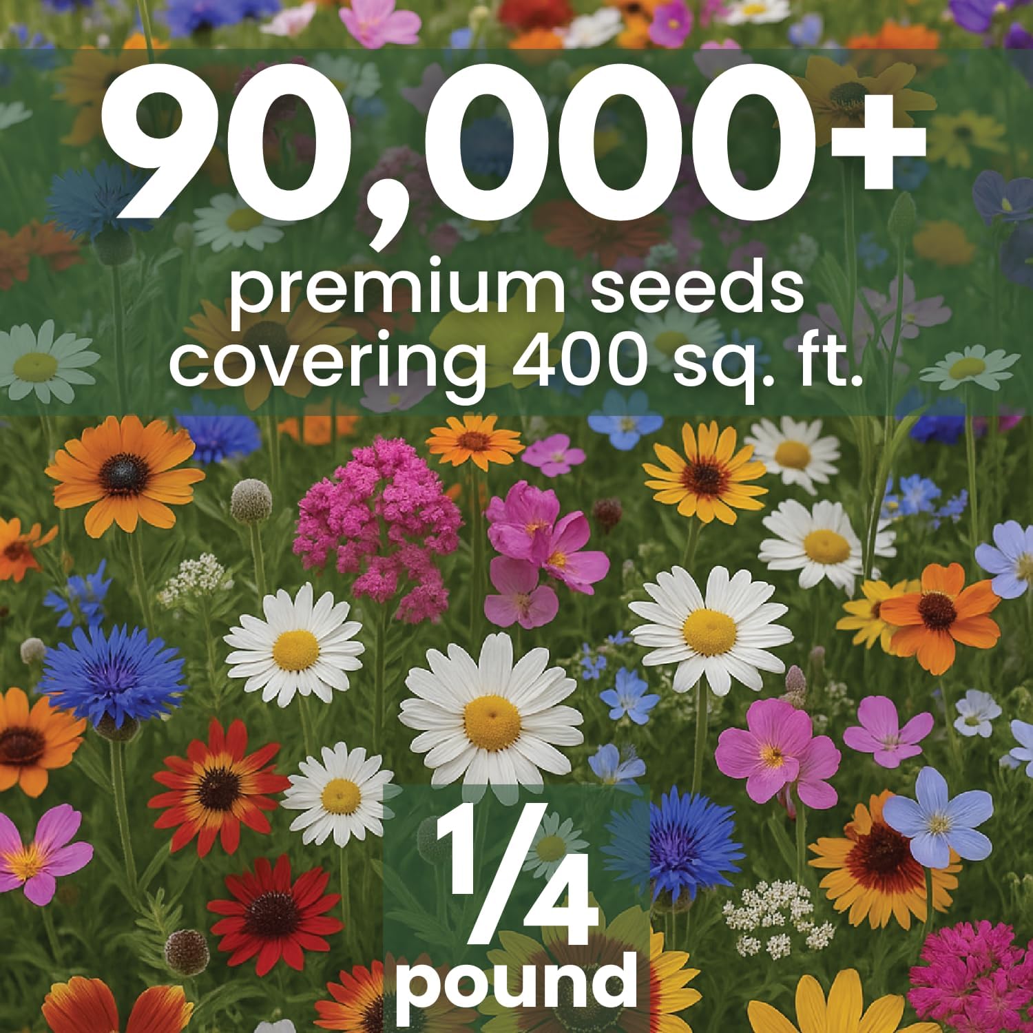 Drought Tolerant Mix