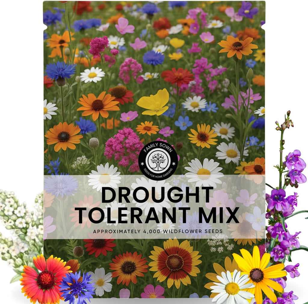 Drought Tolerant Mix