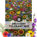Drought Tolerant Mix