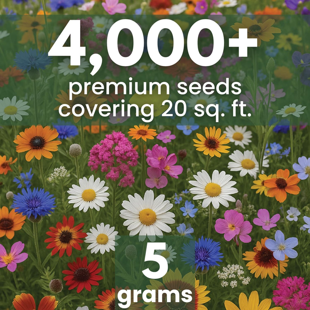 Drought Tolerant Mix