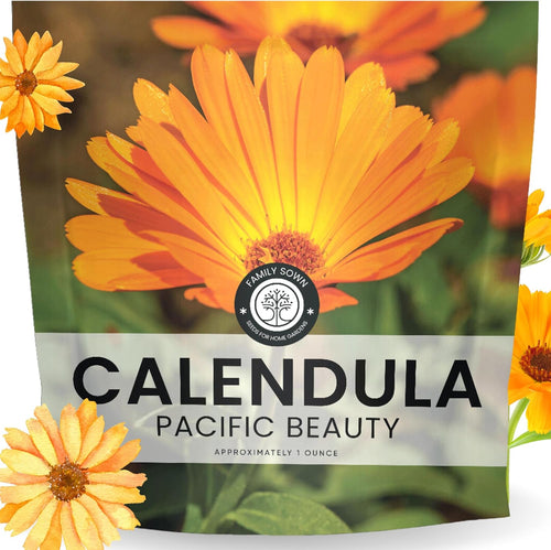 Calendula Pacific Beauty