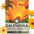 Calendula Pacific Beauty