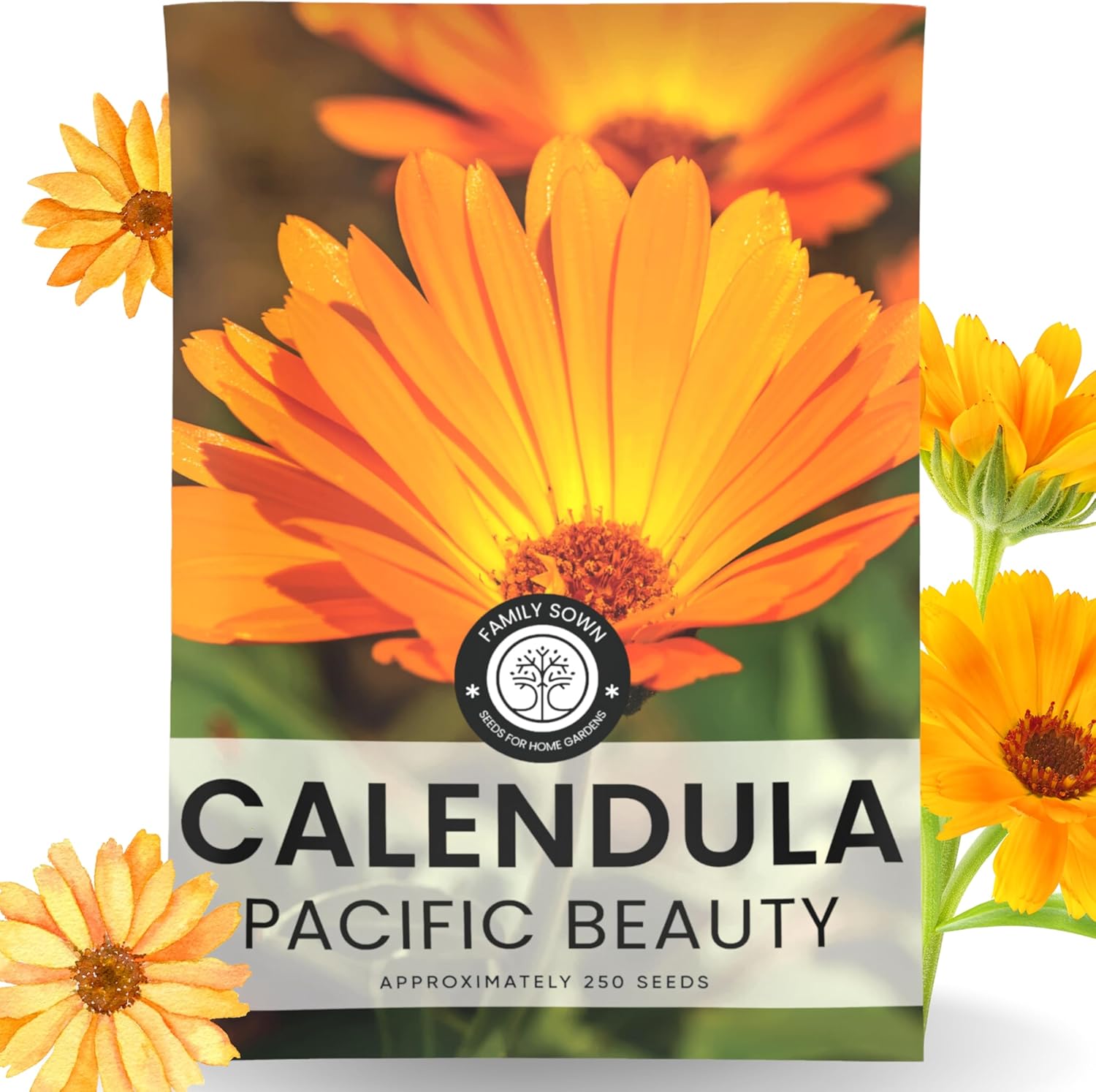 Calendula Pacific Beauty