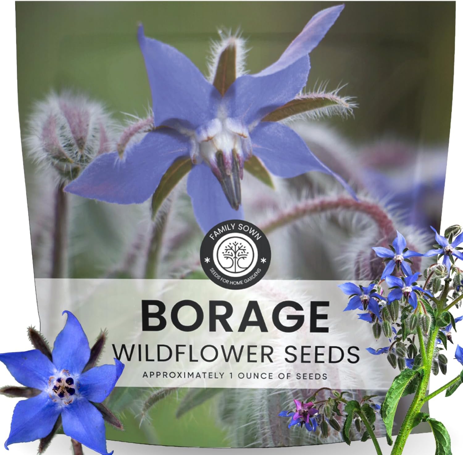 Borage