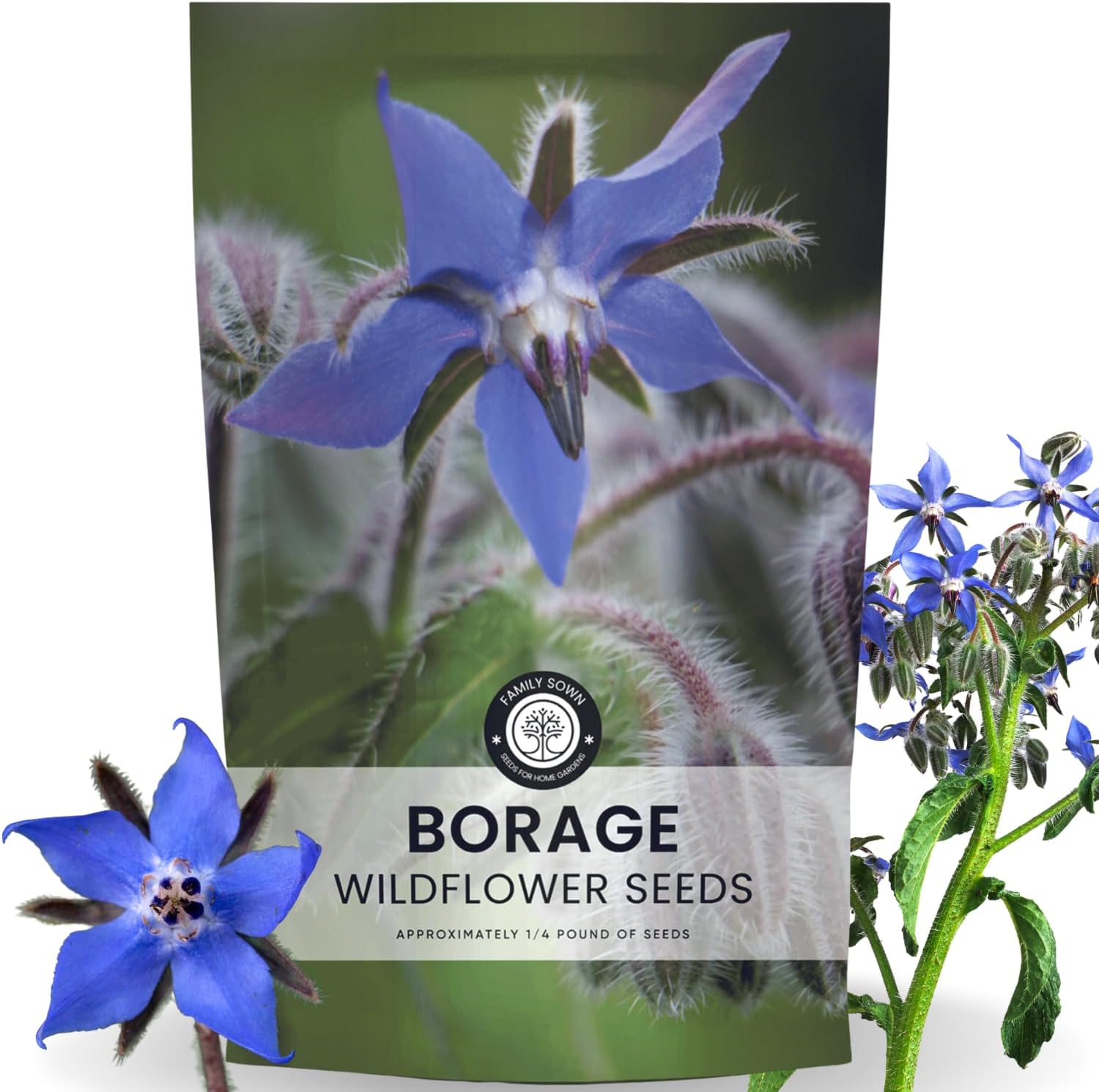 Borage