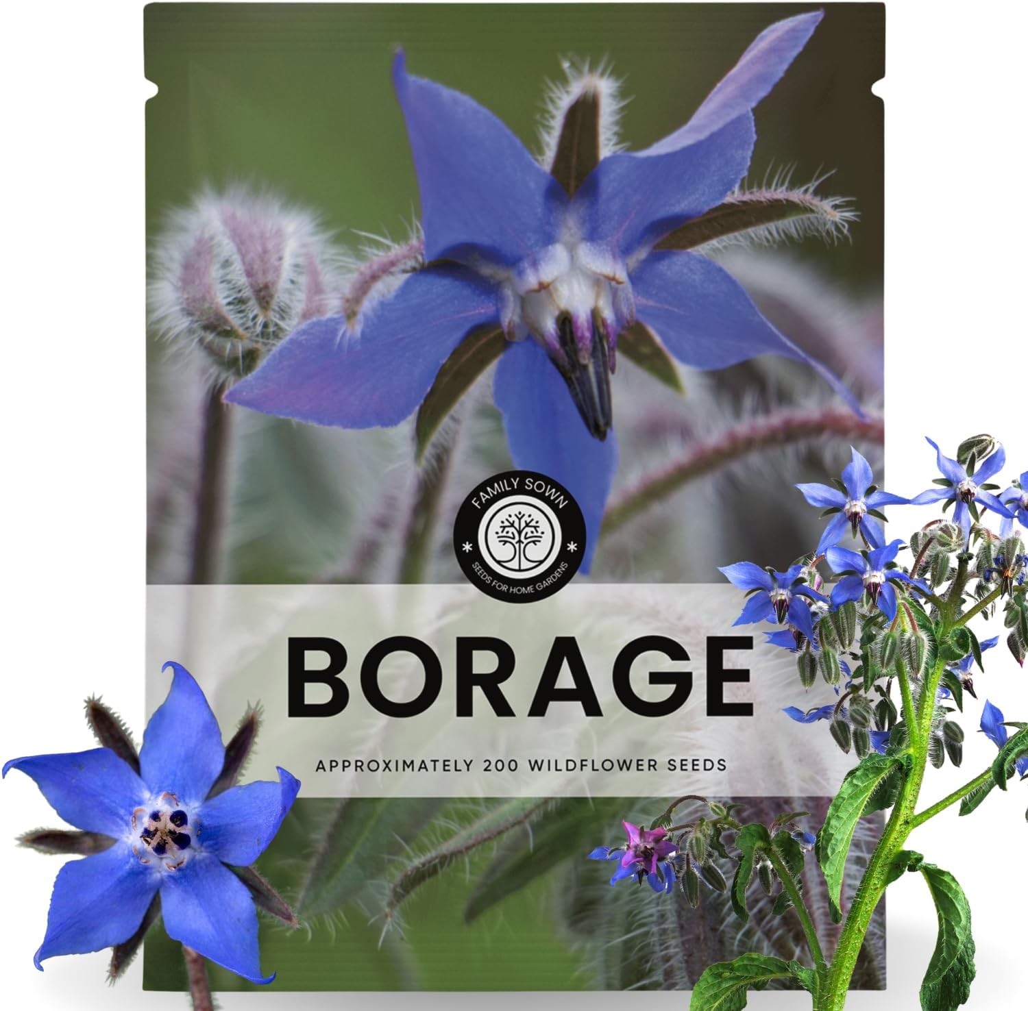 Borage