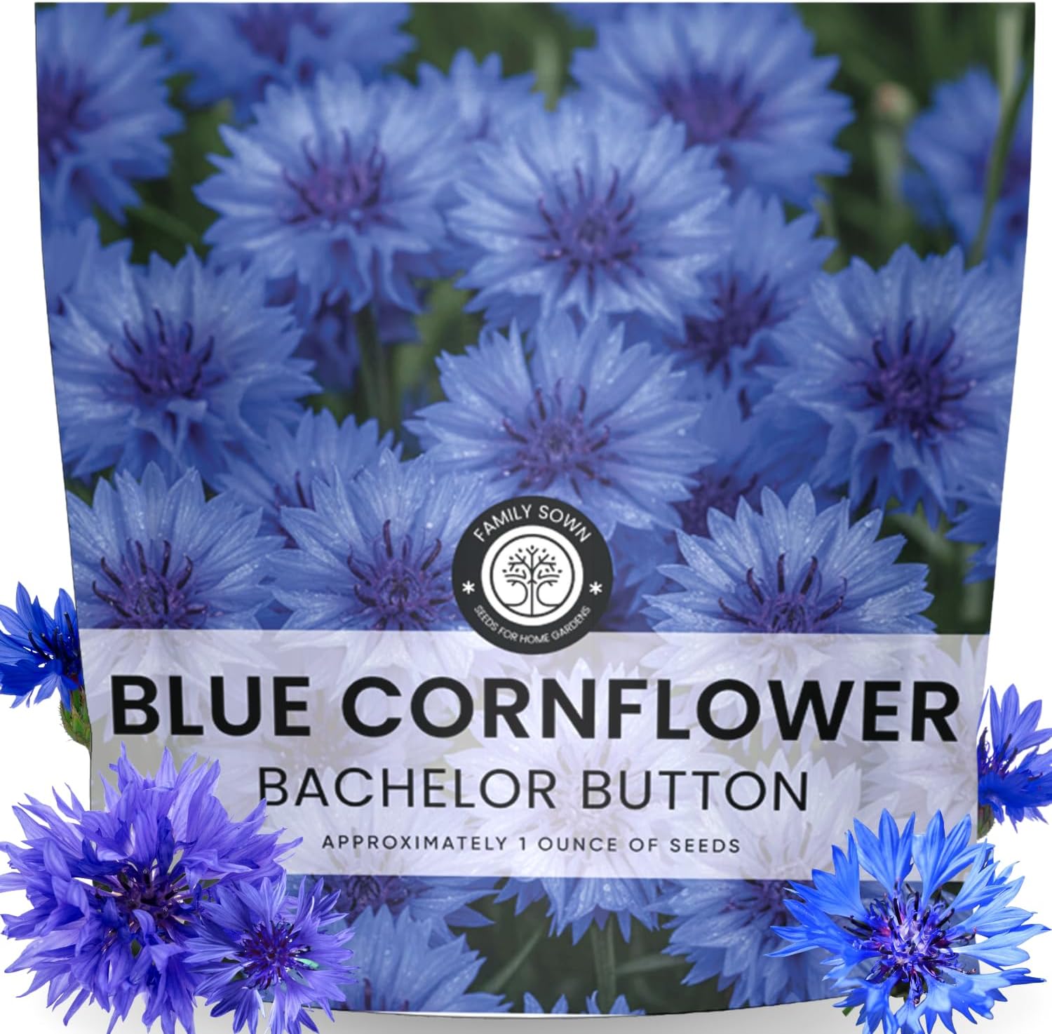 Blue Cornflower