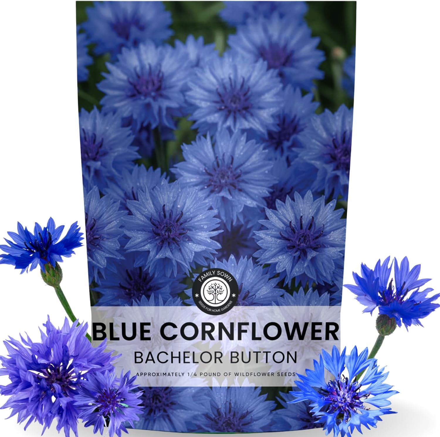 Blue Cornflower