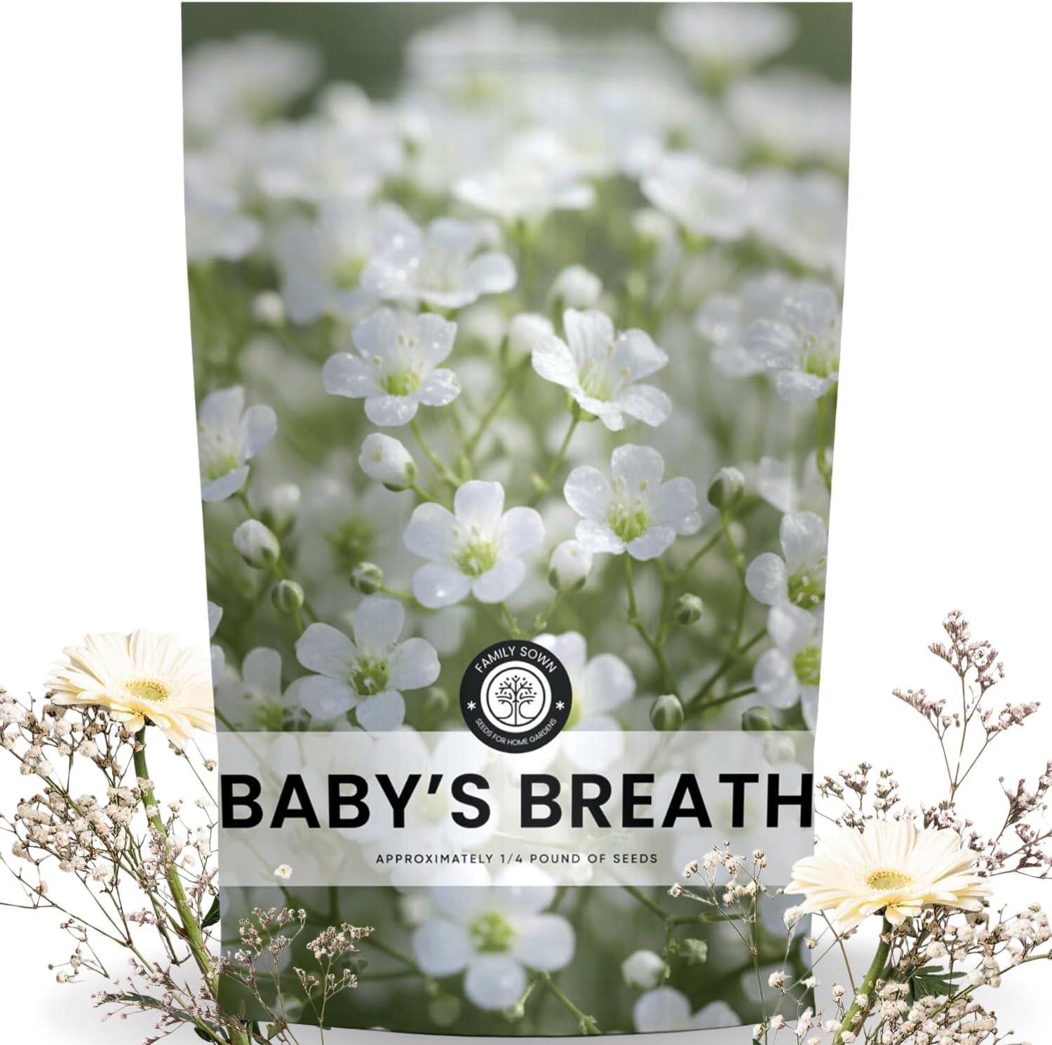 Baby’s Breath