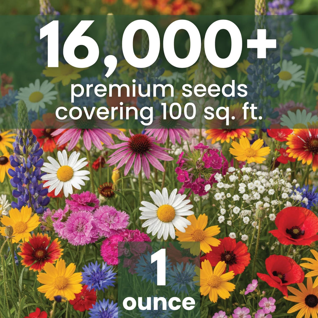 Northeast Natives Mix