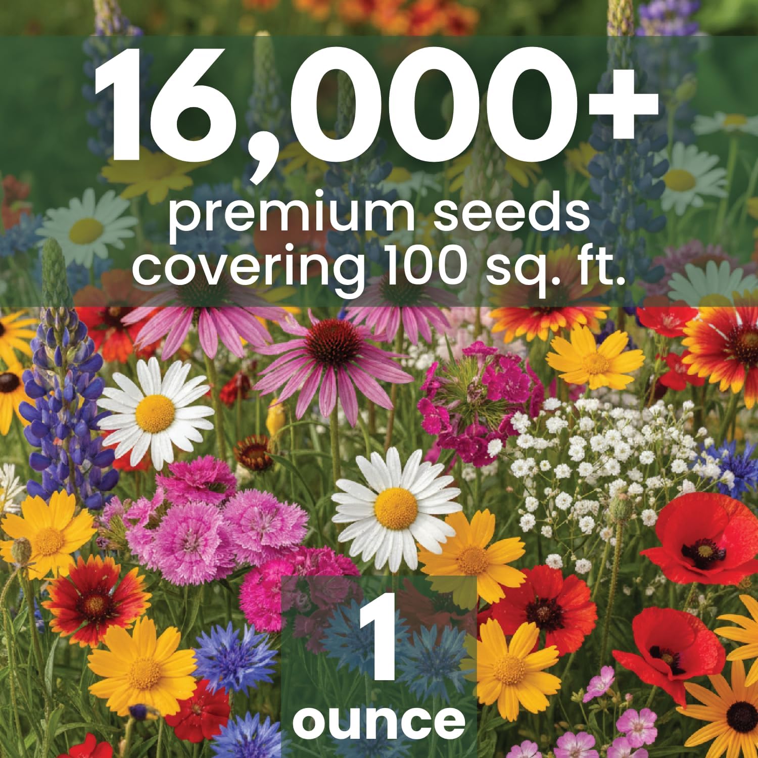 Northeast Natives Mix