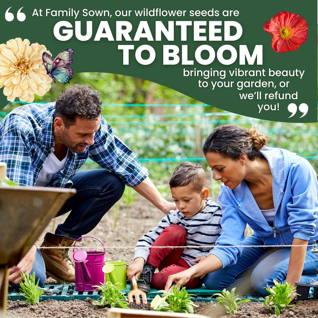 Northeast Natives Mix