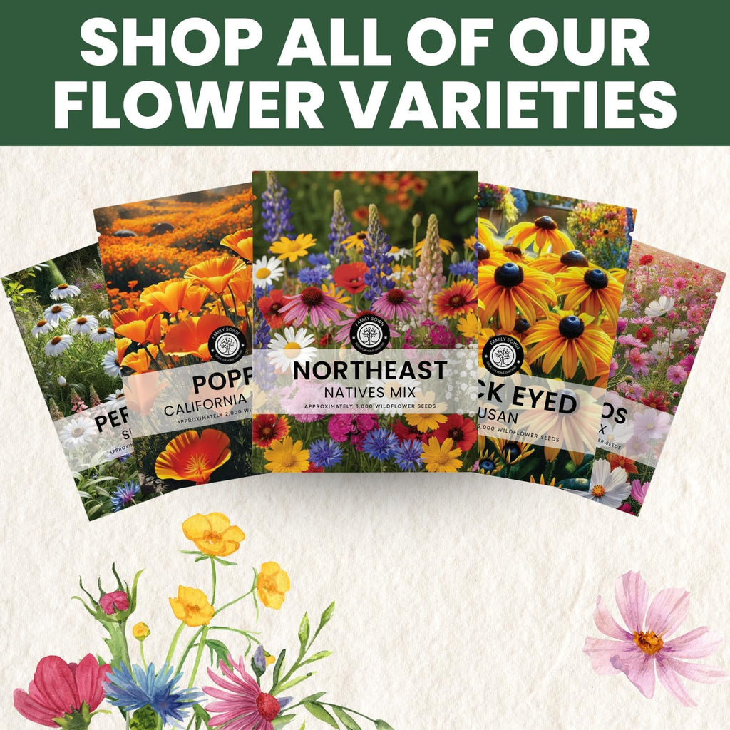 Northeast Natives Mix