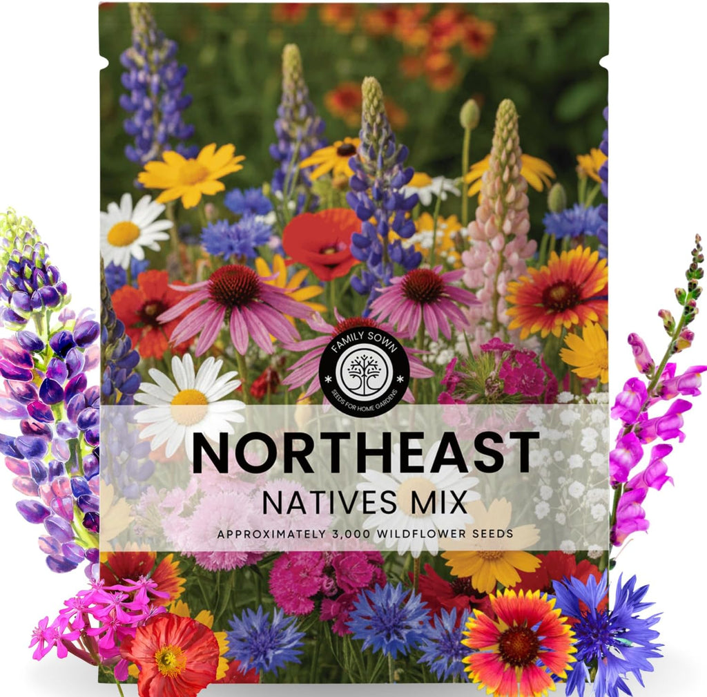 Northeast Natives Mix