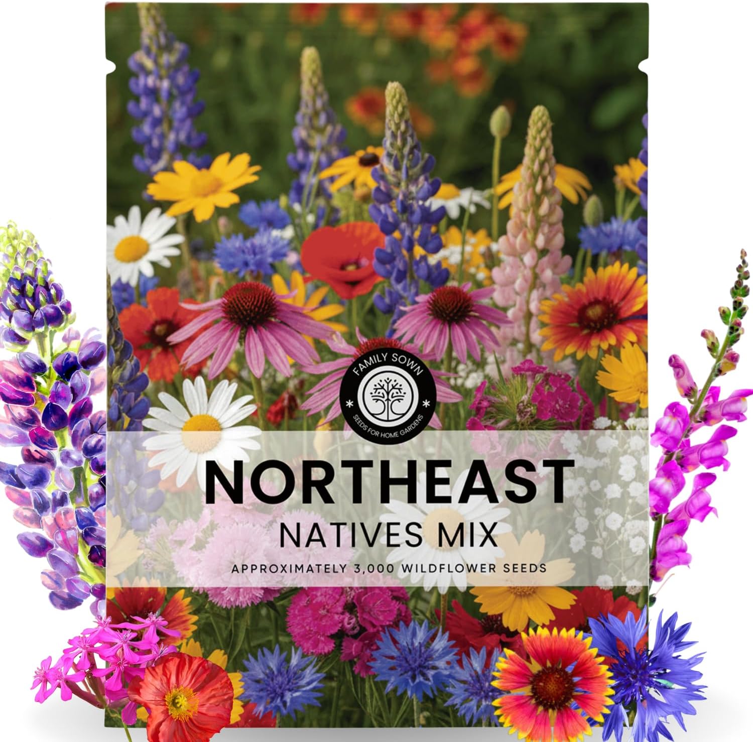 Northeast Natives Mix