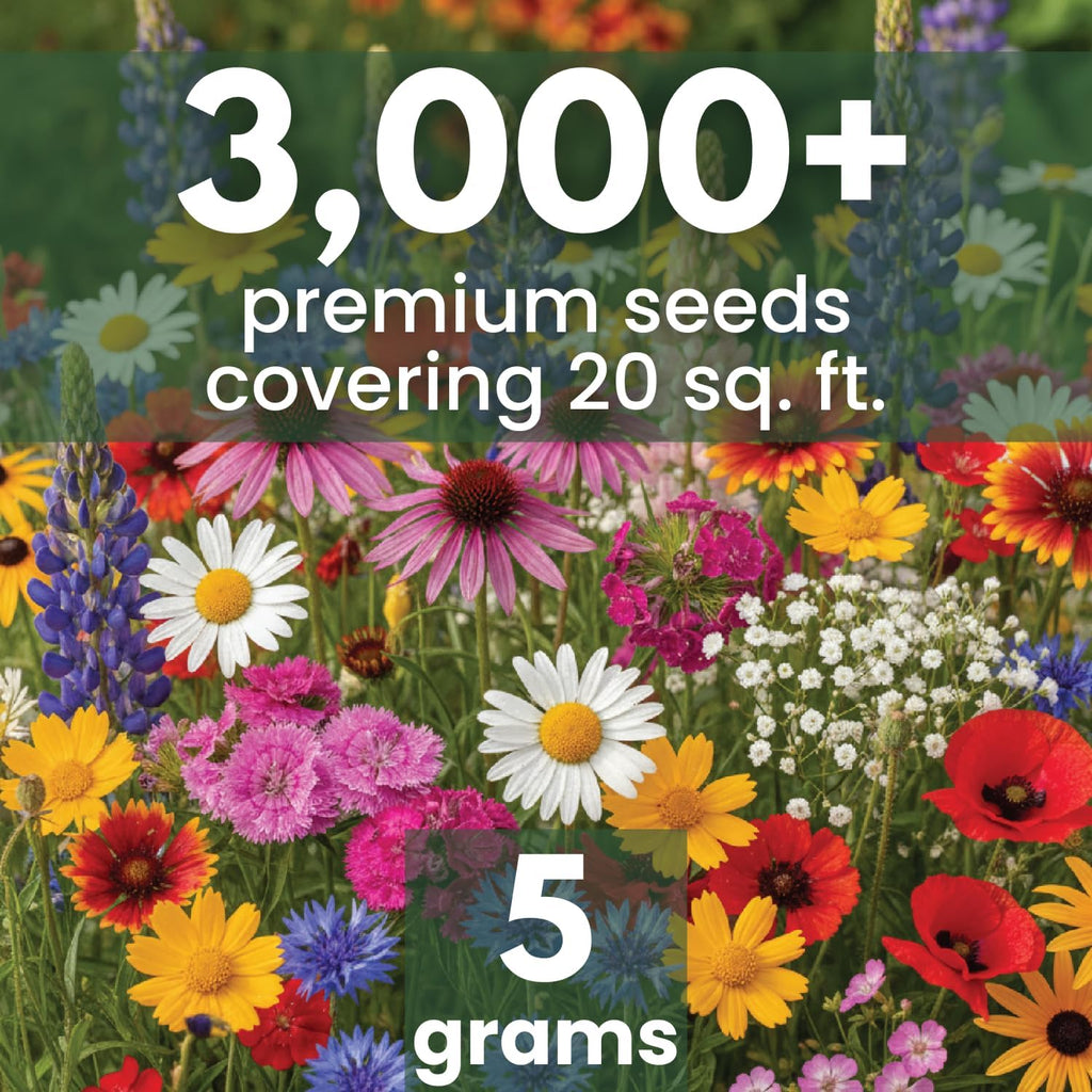 Northeast Natives Mix