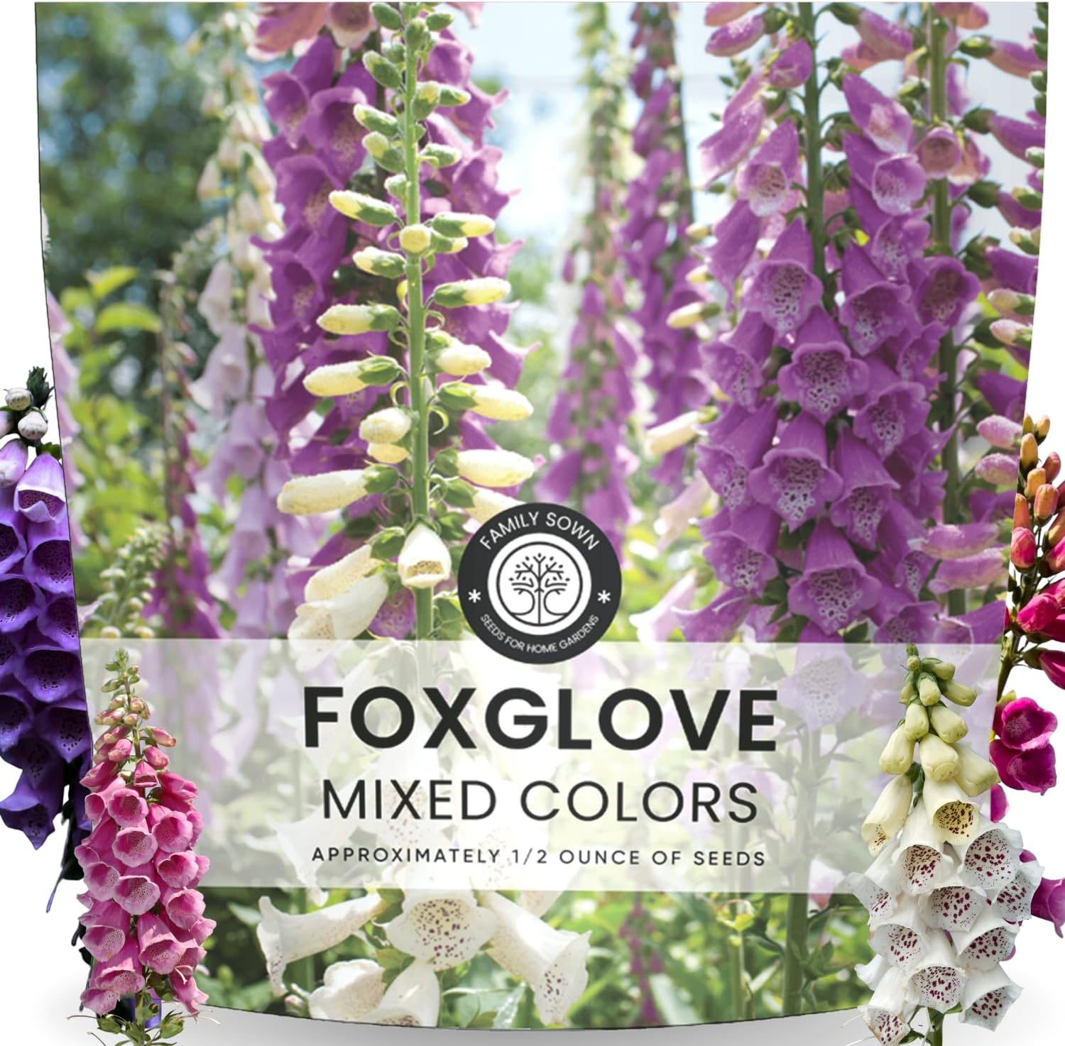 Foxglove Mixed Colors