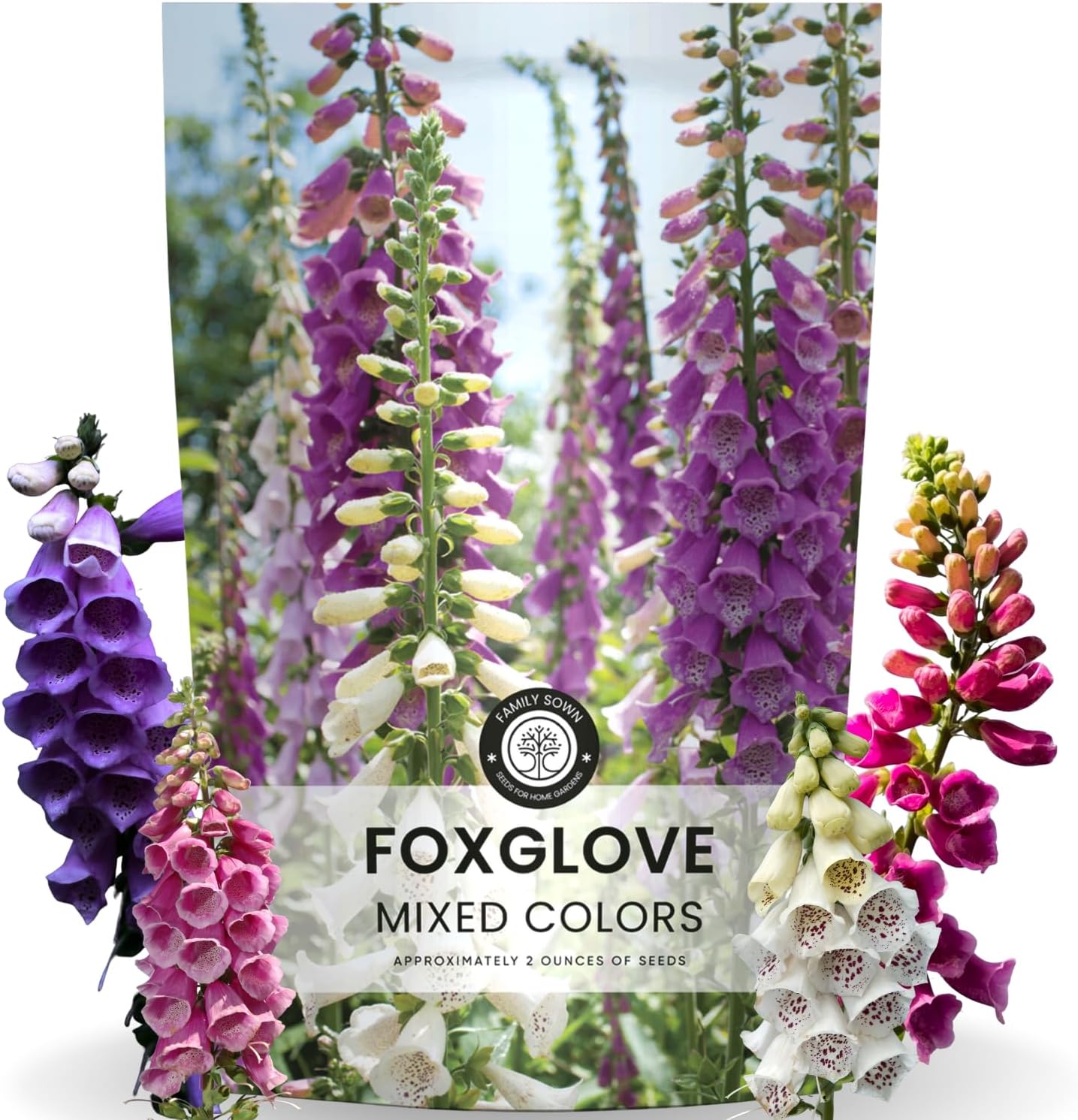 Foxglove Mixed Colors