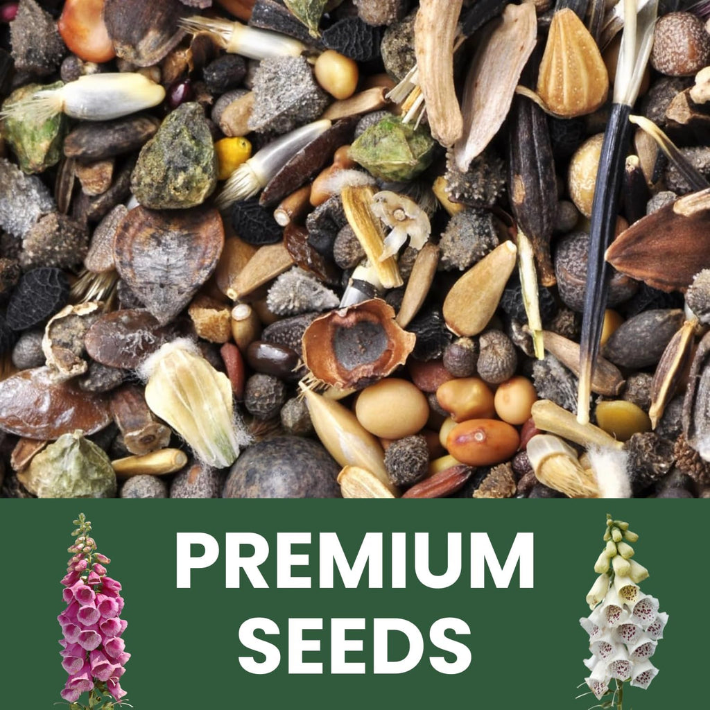 Foxglove Mixed Colors