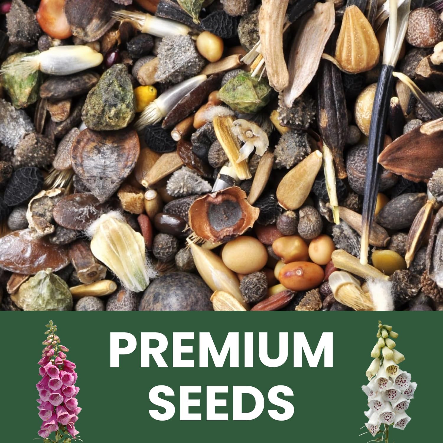 Foxglove Mixed Colors