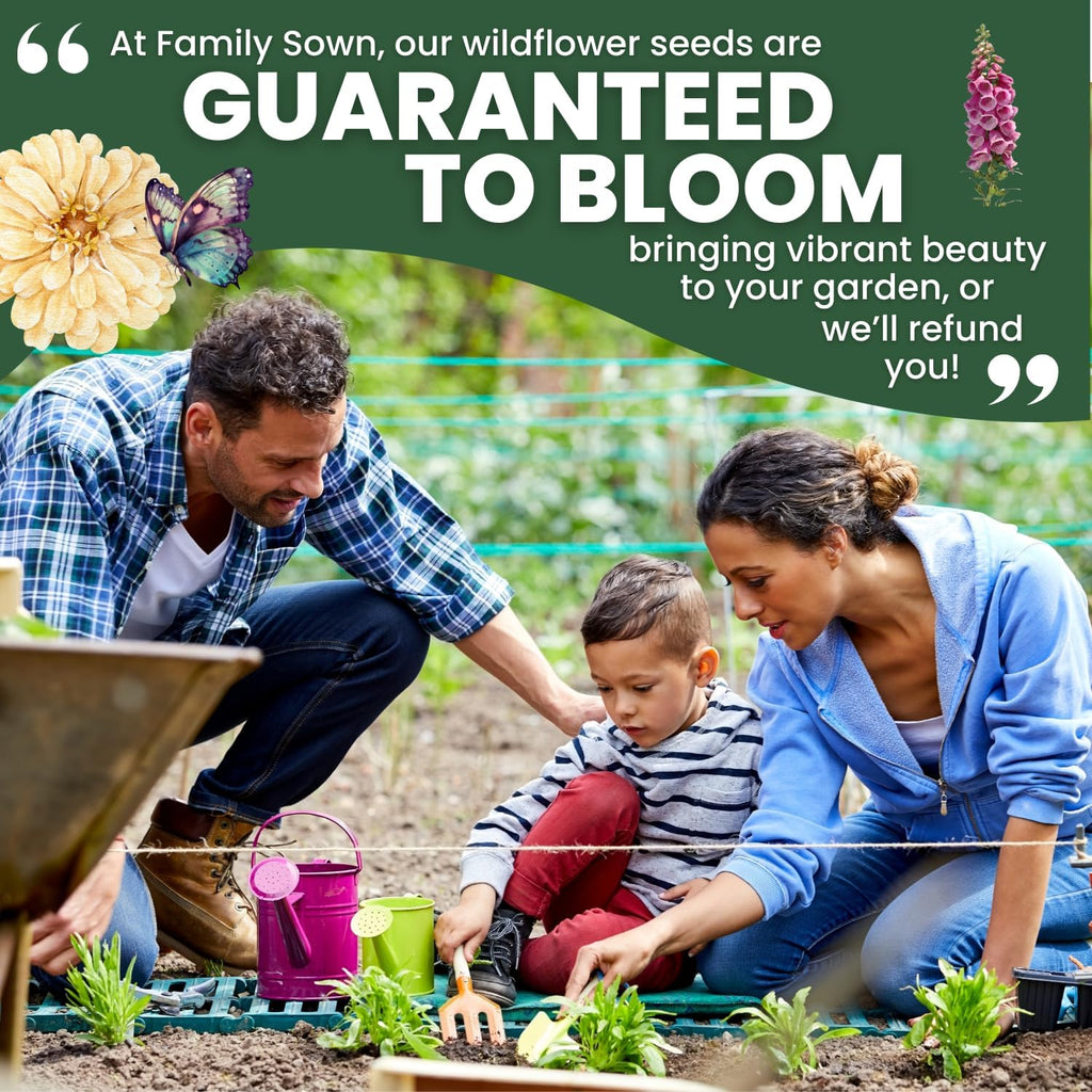 Foxglove Mixed Colors