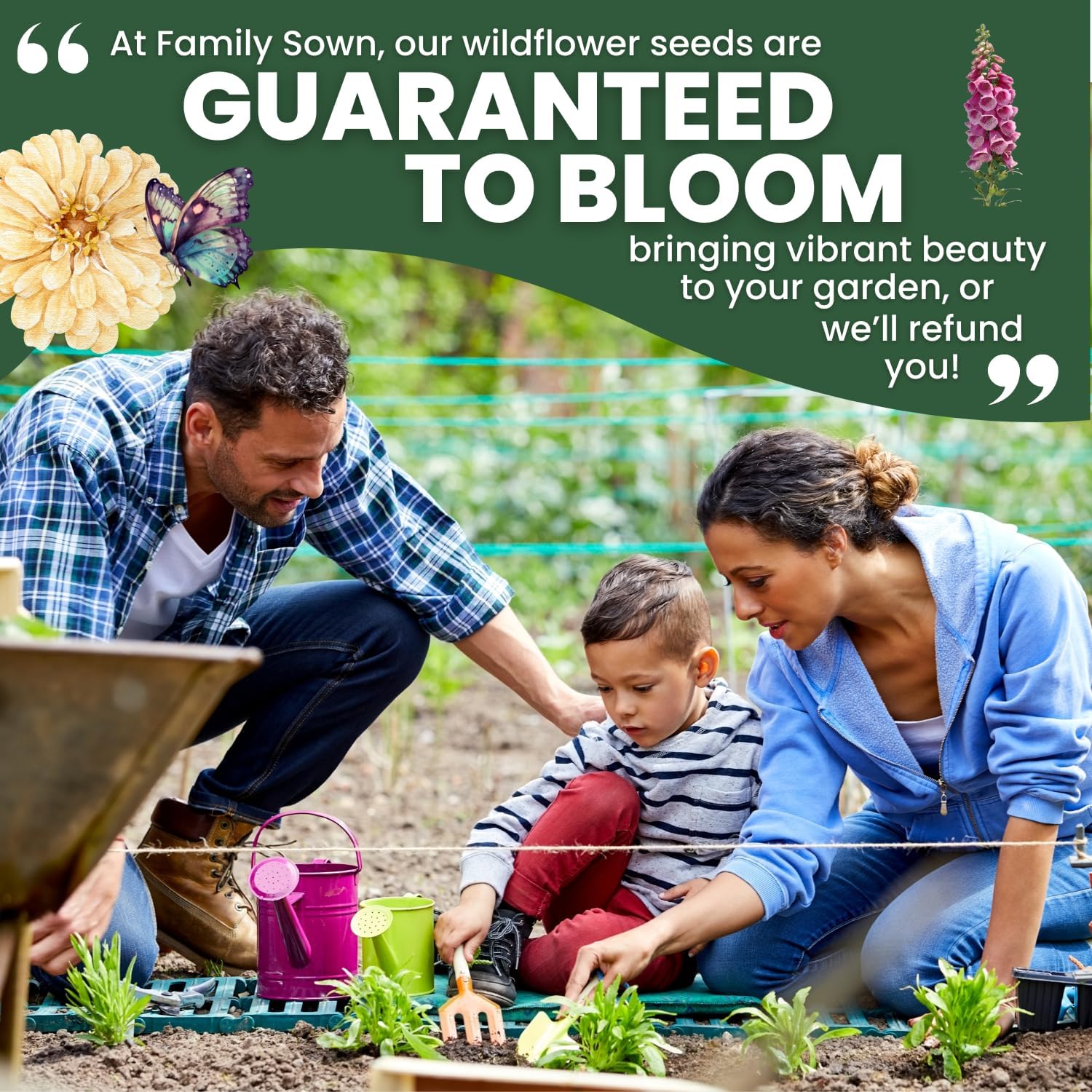 Foxglove Mixed Colors