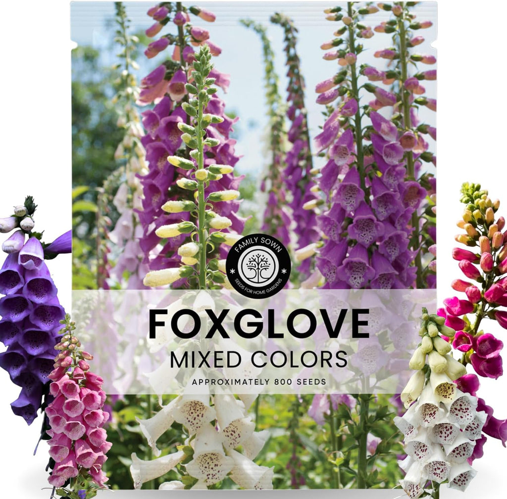 Foxglove Mixed Colors