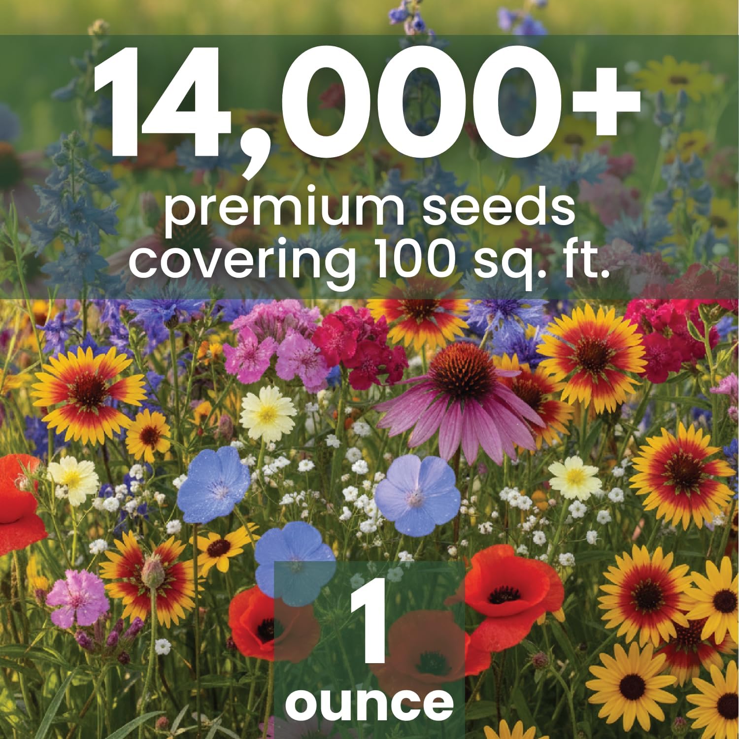 Midwest Regional Mix