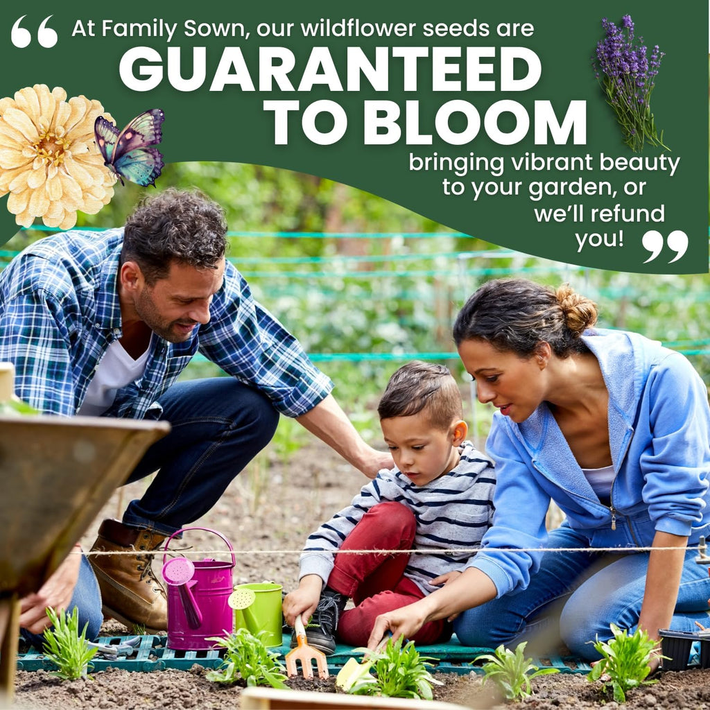 Midwest Regional Mix