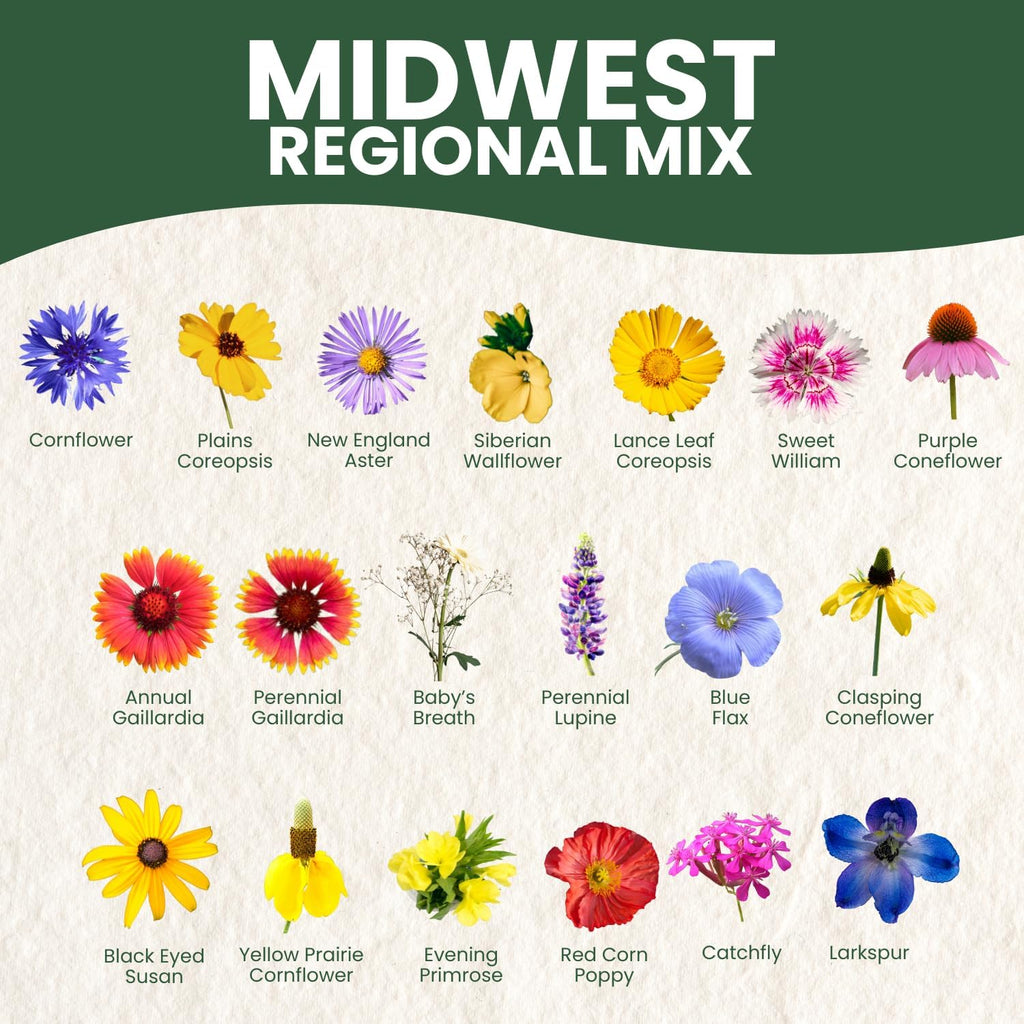 Midwest Regional Mix