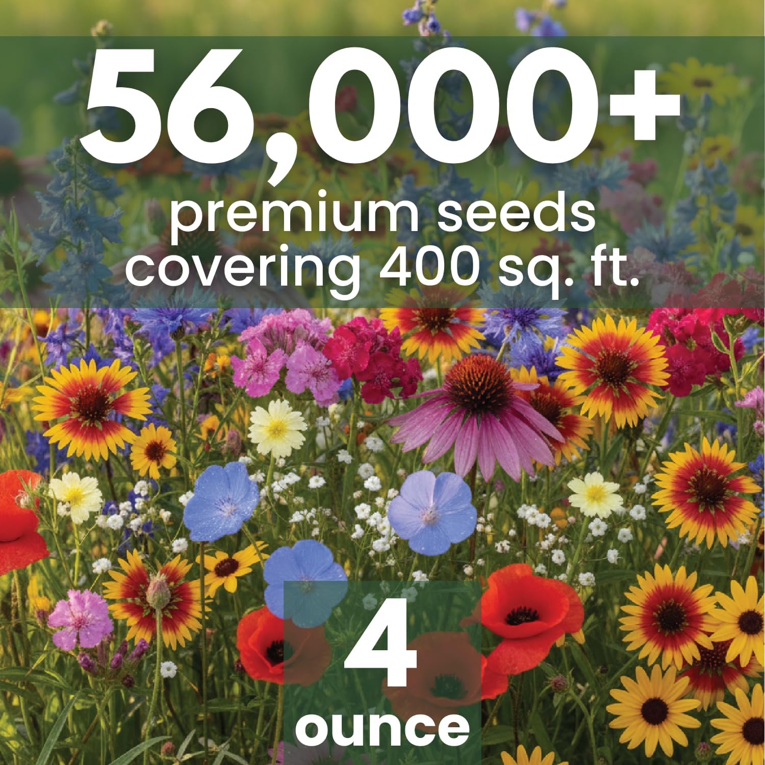 Midwest Regional Mix