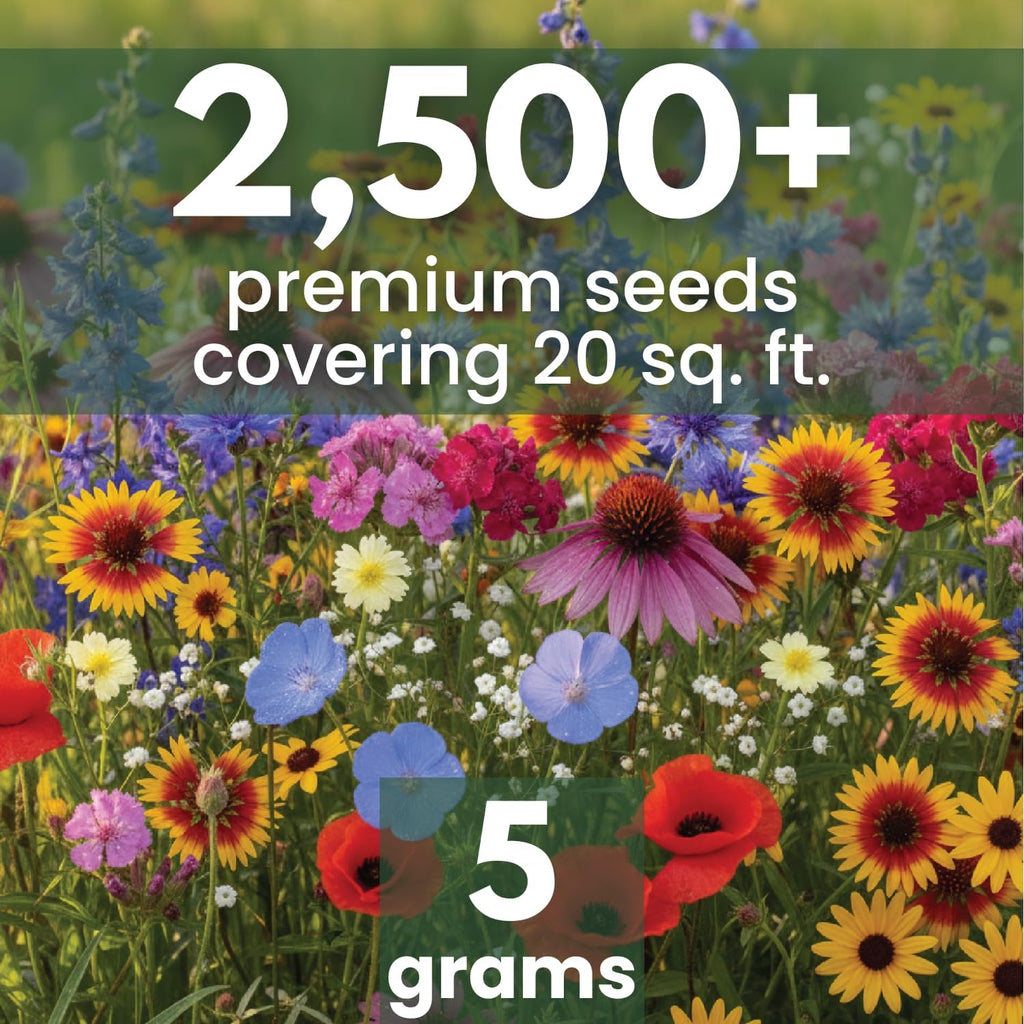 Midwest Regional Mix