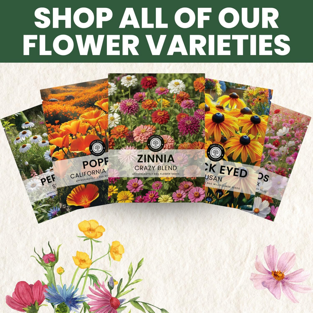 Zinnia Crazy Blend