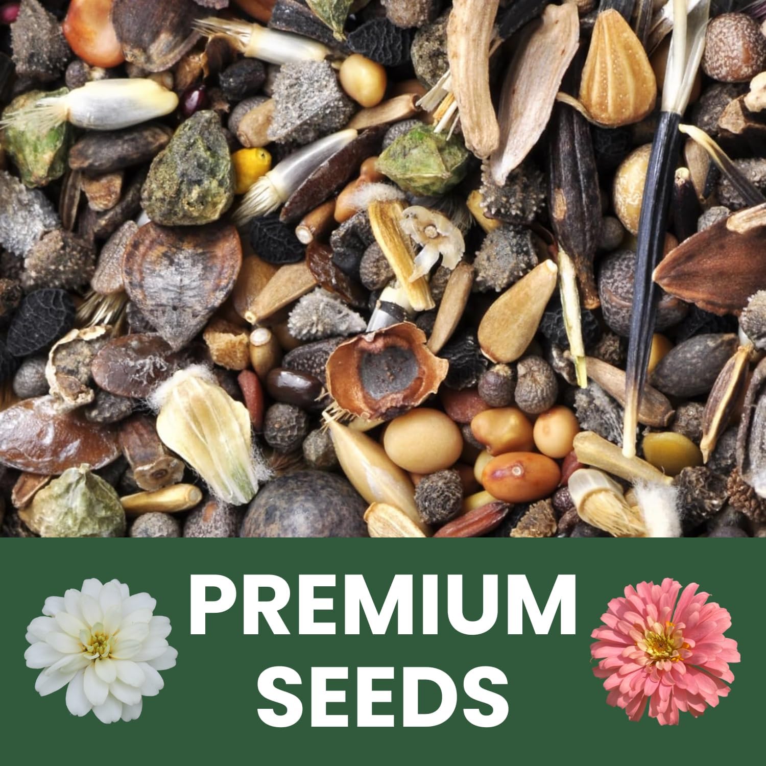 Zinnia ‘Cut and Come Again’