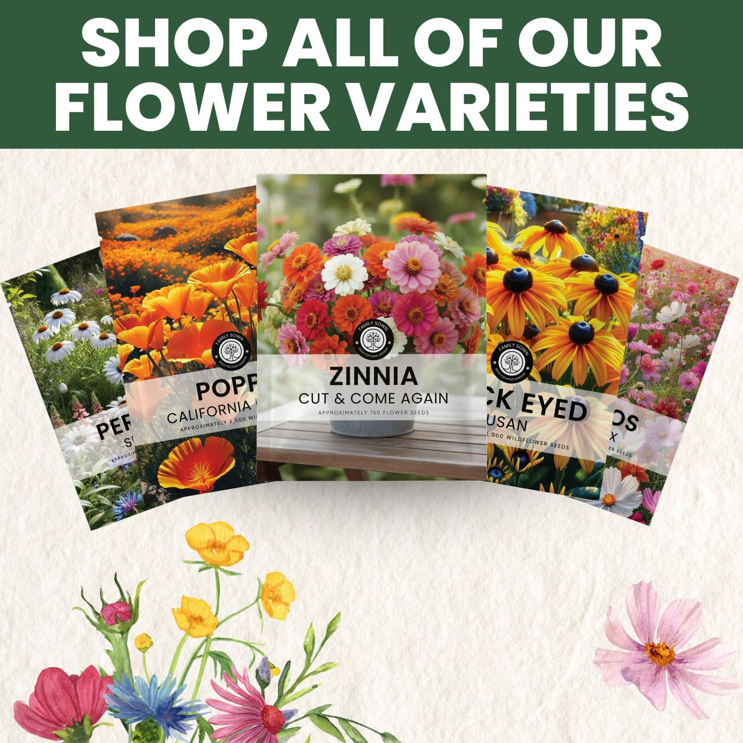 Zinnia ‘Cut and Come Again’