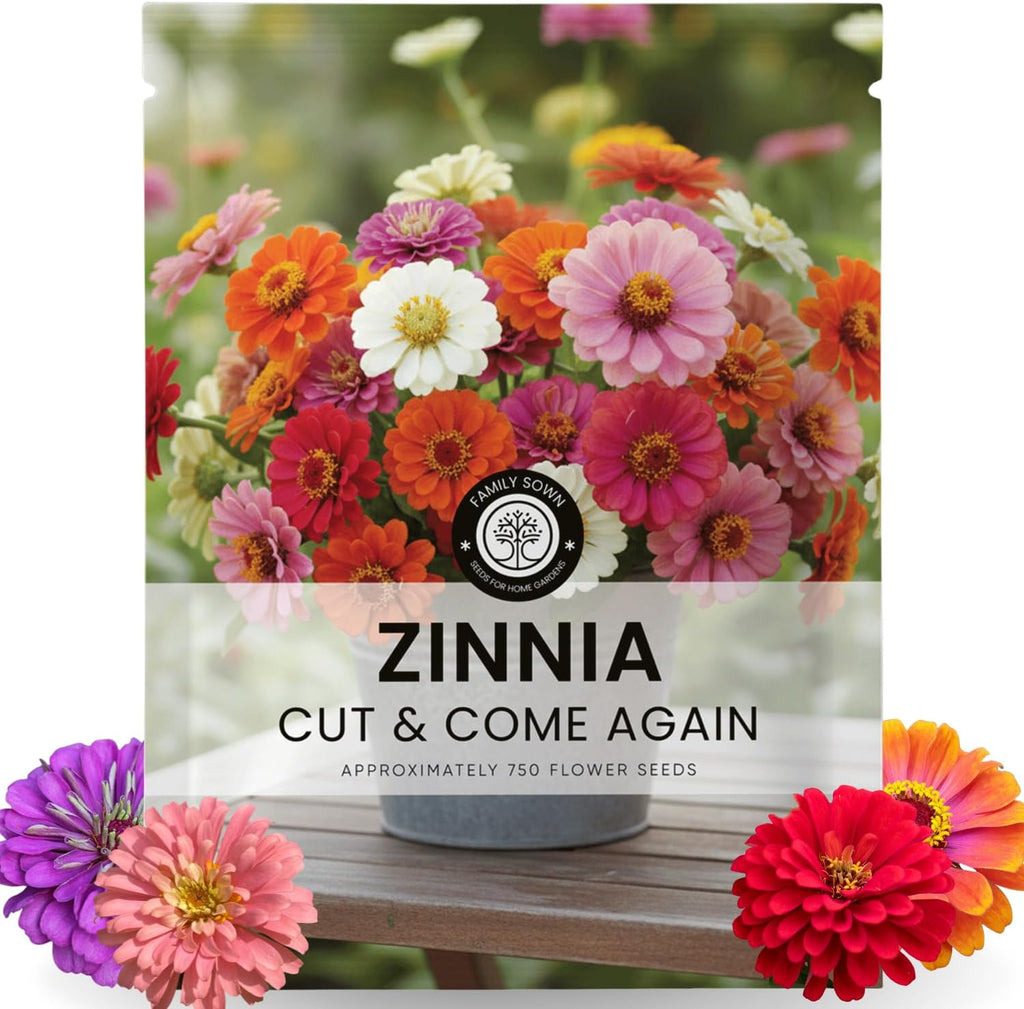 Zinnia ‘Cut and Come Again’